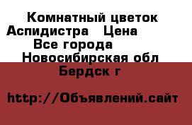 Комнатный цветок Аспидистра › Цена ­ 150 - Все города  »    . Новосибирская обл.,Бердск г.